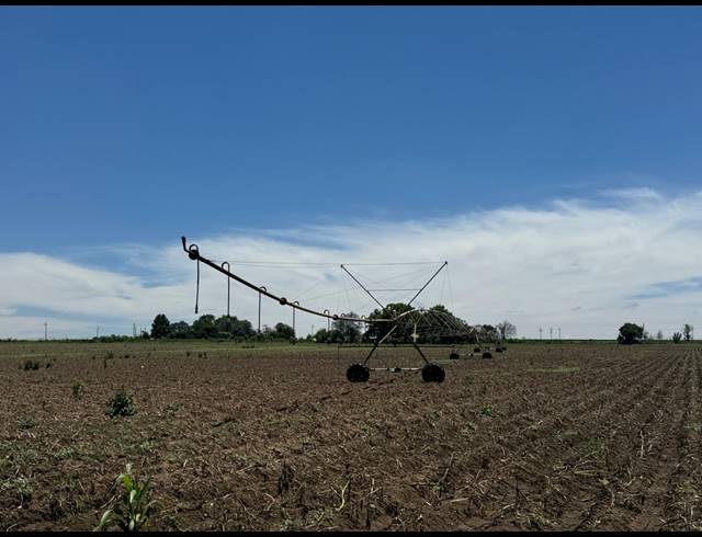 56HA FARM FOR SALE IN WEENEN
